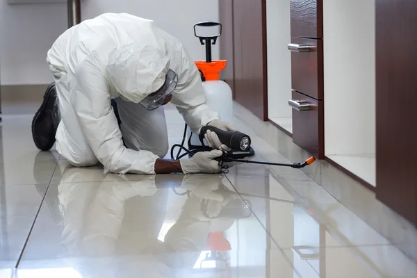 Pest Control Las Vegas: Unleash the Power of Pest Prevention