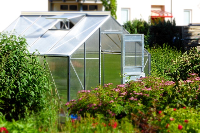 Enhance a Enviromentally helpful The very next day with Our Greenhouses on sale