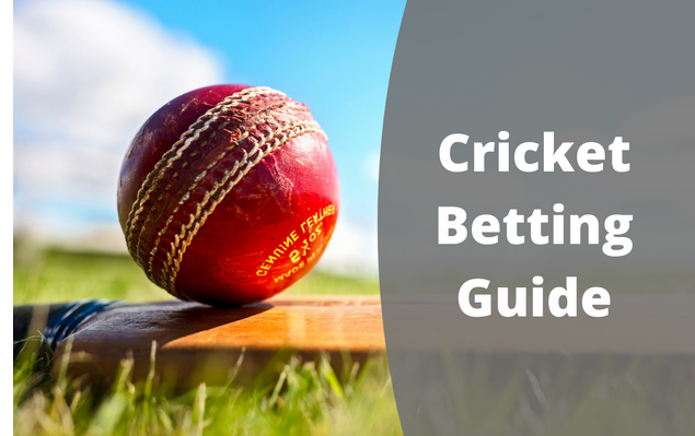 Cricket Craftsmanship: Guide for Starting Your Journey