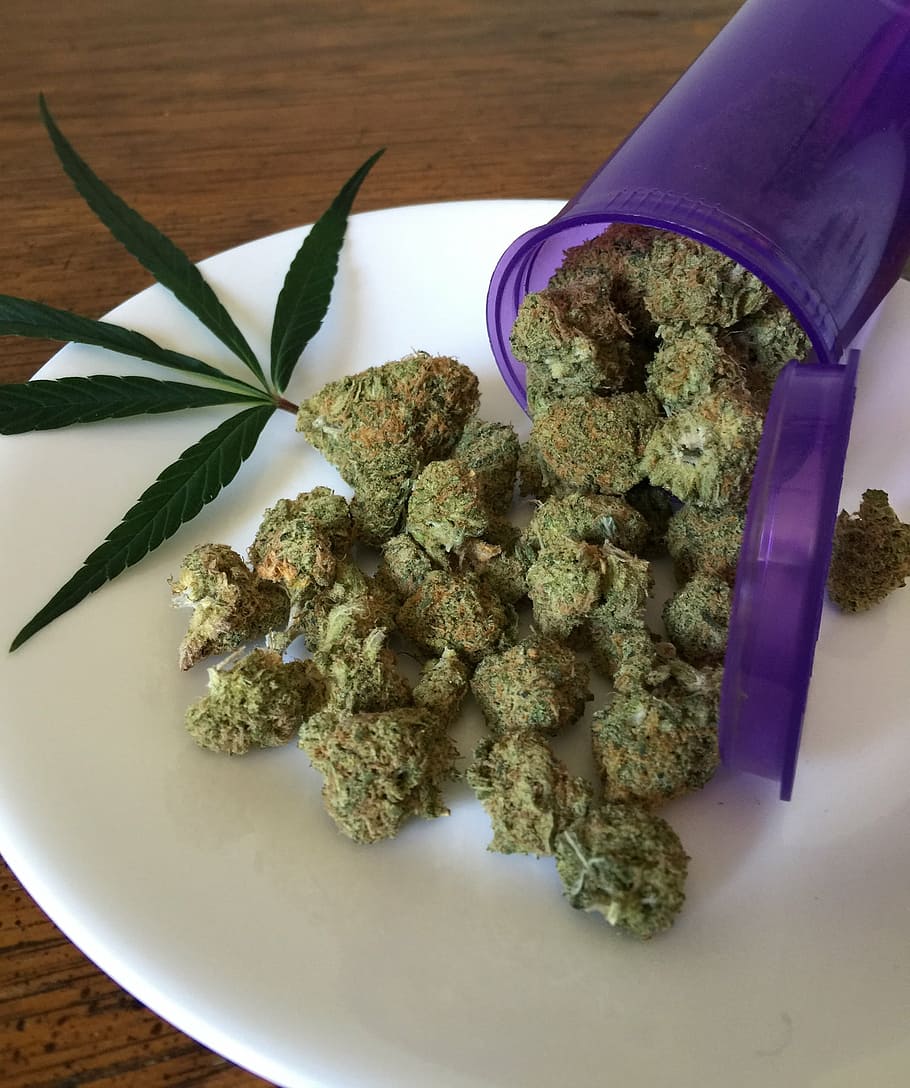 Weed DC: Navigating the Capital’s Cannabis Culture