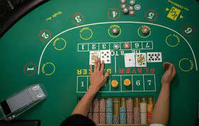 Baccarat Allure: Fortune Favours the Bold