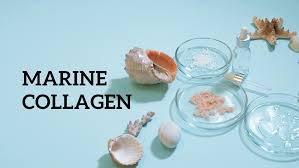 Best Collagen Supplements for Skin Transformation