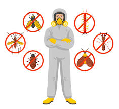 Las Vegas Pest Control: Protecting Your Investments