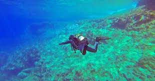 Scuba Diving in Phuket: Recommendations