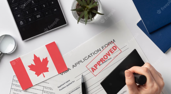 The Primary Accreditations and Specialist providers Made available from Canada New venture Visa Legal professionals
