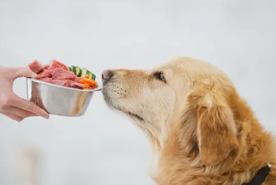 Raw Dog Food Essentials: A Comprehensive Diet Guide