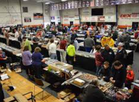 Pokémon Fever Hits NC: Showcasing the Best