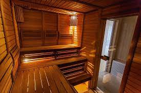 Revitalize Your Wellness Journey: Exploring the Benefits of Infrared sauna