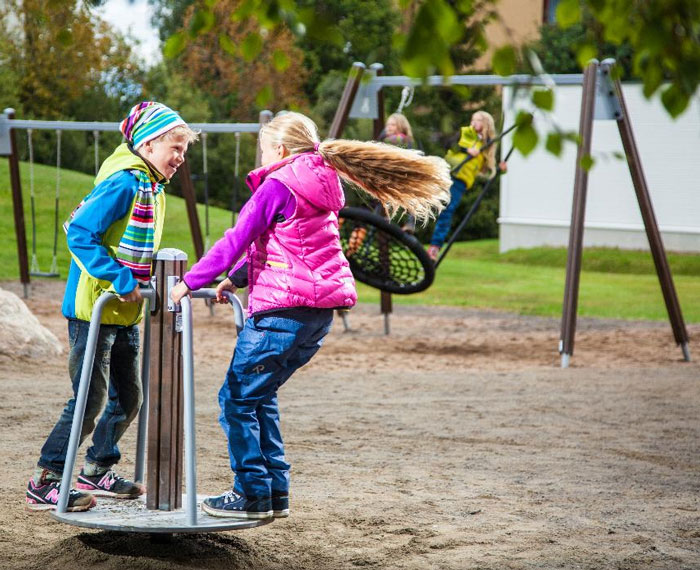 Playground Equipment: Fostering Physical and Social Development