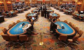 An Evening at Aven Casino: A Firsthand Expertise