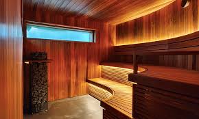 The Future of Wellness: Infrared Saunas