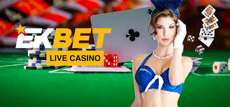 Unlock the Power of Betting at Eokbet