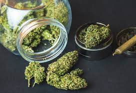 The Legalities of Buying Cannabis Seeds: A Guide for Growers