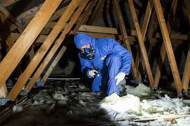 Asbestos Testing: Why Regular Surveys are Critical for Long-Term Safety